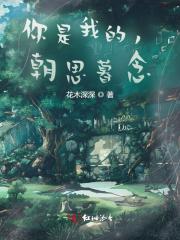 至尊龙婿全文阅读